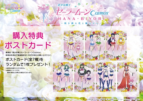 劇場版「美少女戦士セーラームーンCosmos」×HANA・BIYORI ～咲き誇る花 